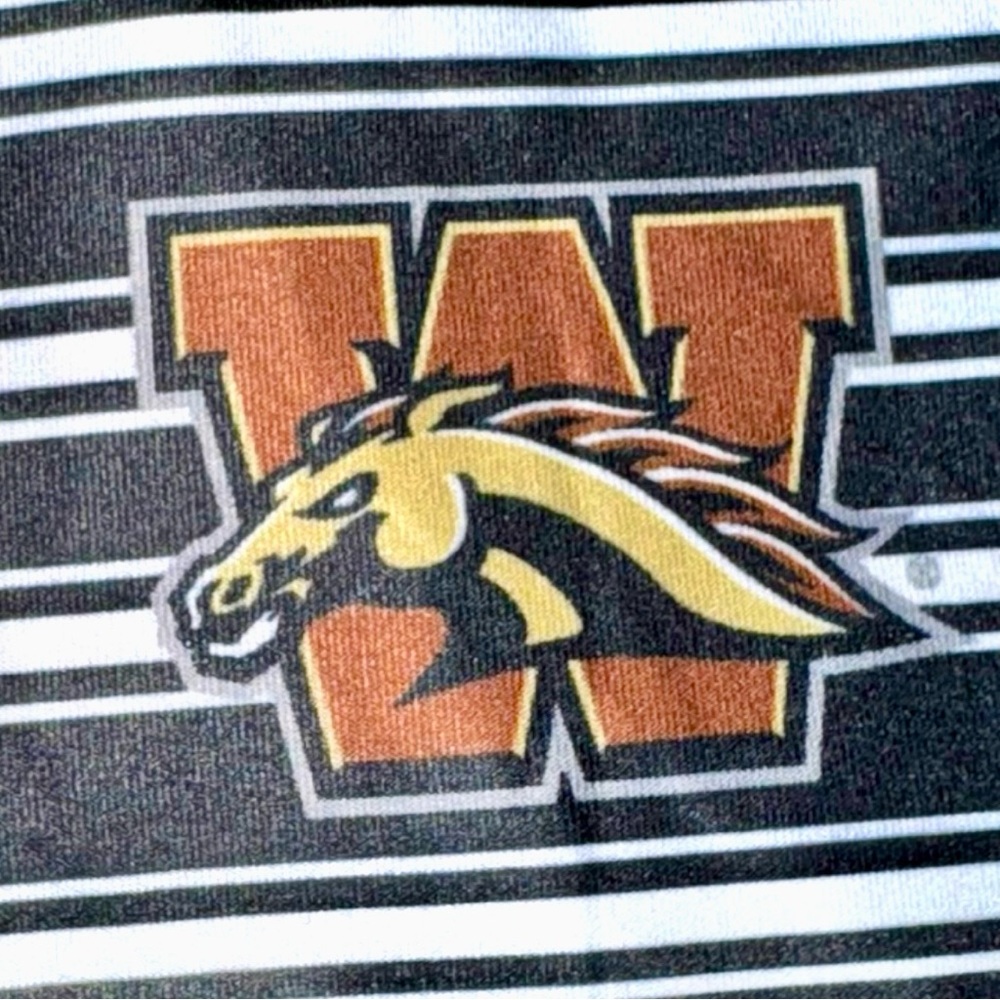 Western Michigan University Broncos Black & White Striped Mini Tank Dress NWOT - Picture 8 of 16